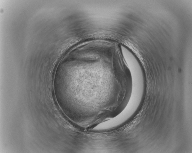 X0000088830673200706281756