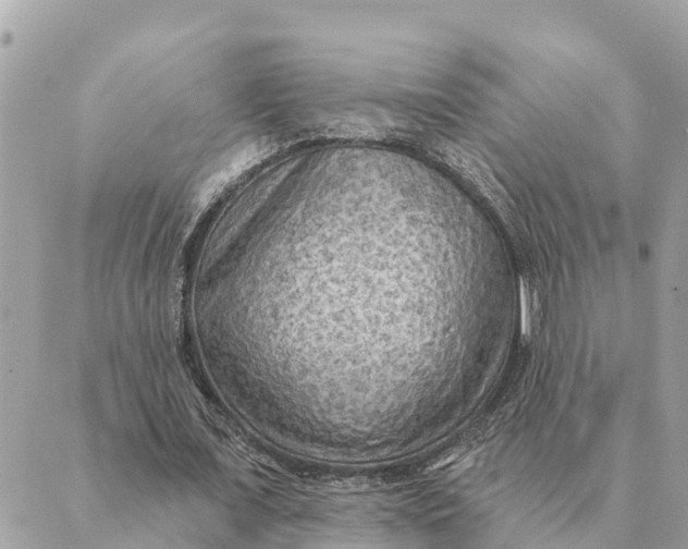 X0000088830675200706281756