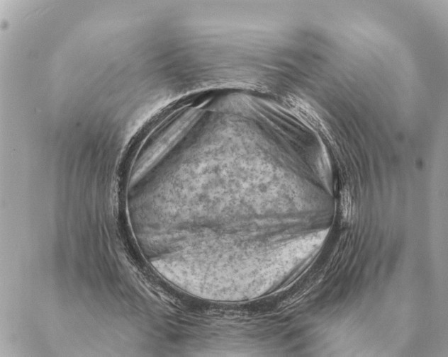 X0000088830676200706281756