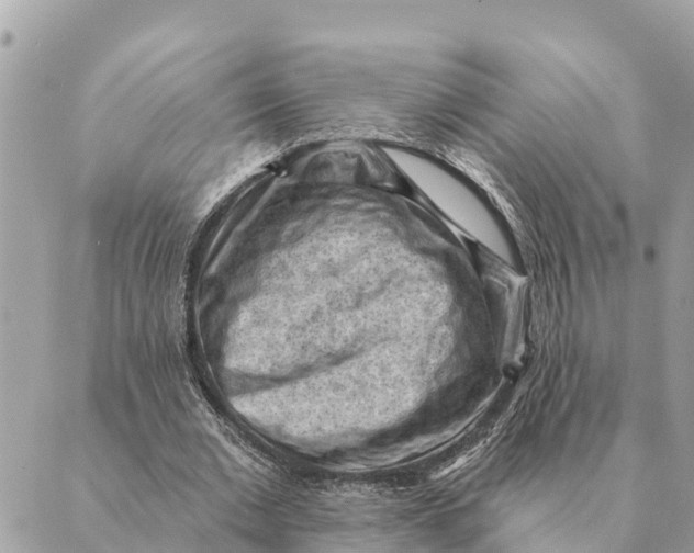 X0000088830677200706281756