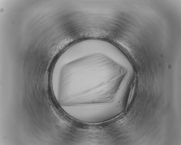 X0000088830678200706281756