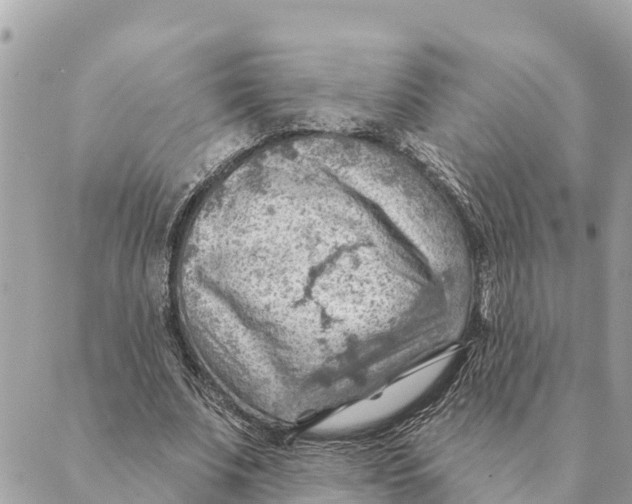 X0000088830679200706281756