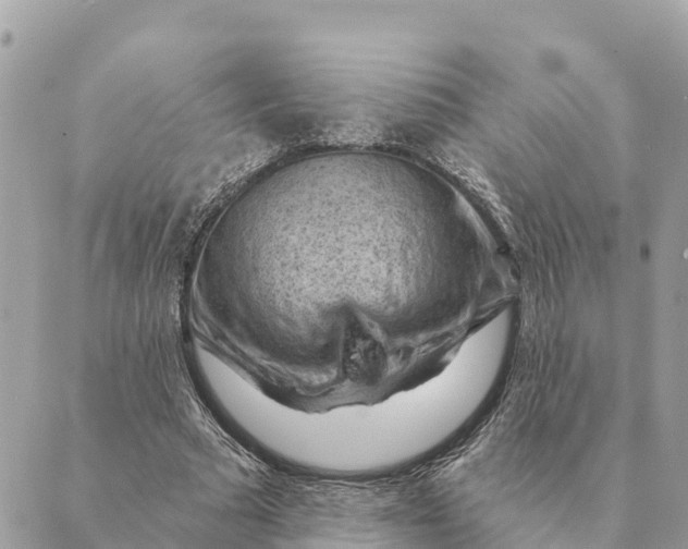 X0000088830681200706281756