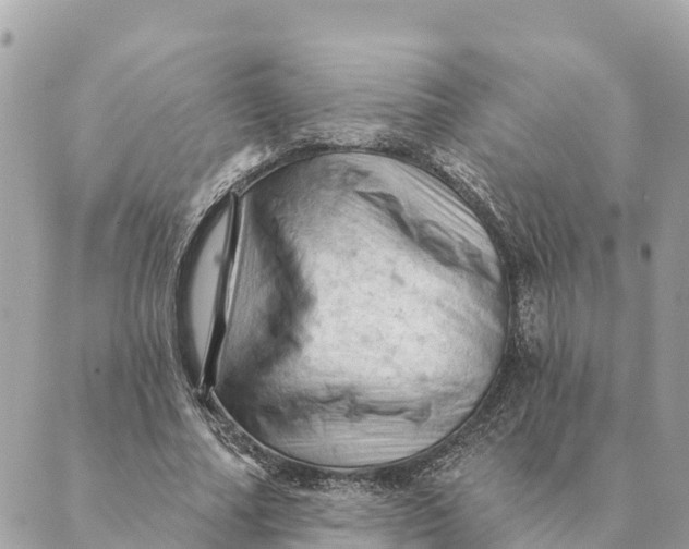 X0000088830682200706281756