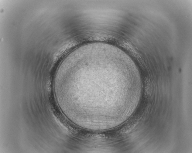 X0000088830683200706281756