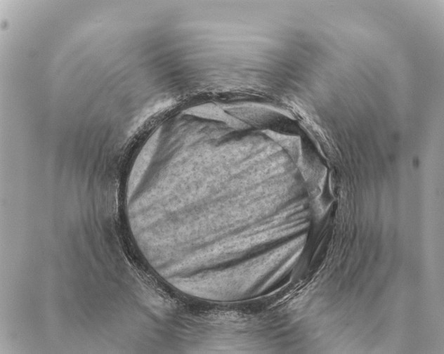 X0000088830685200706281756