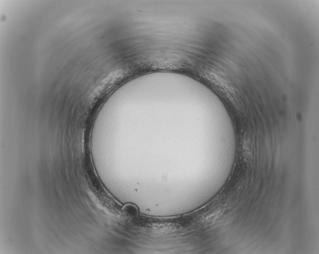 X0000088830686200706281756