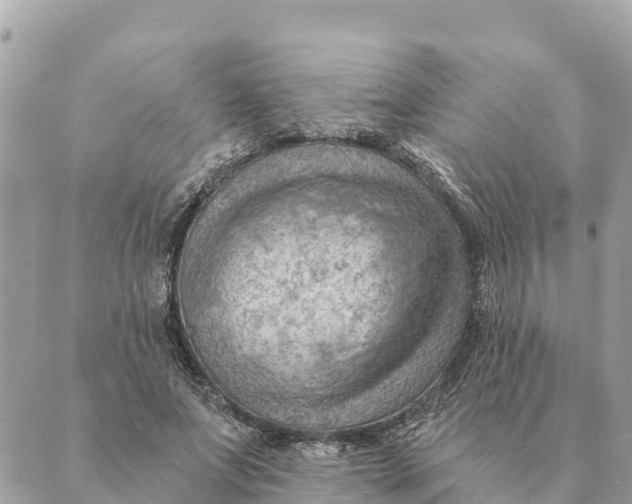 X0000088830687200706281756