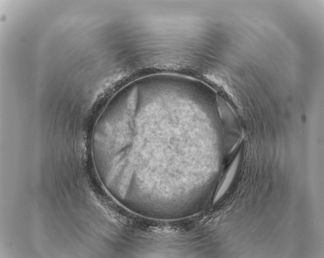 X0000088830688200706281756