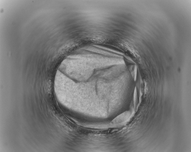 X0000088830689200706281756