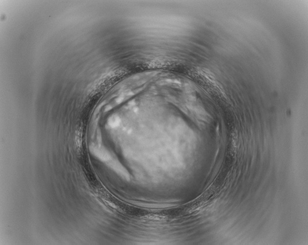 X0000088830691200706281756