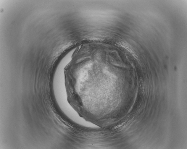 X0000088830692200706281756