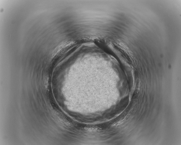 X0000088830693200706281756