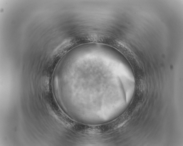 X0000088830696200706281756