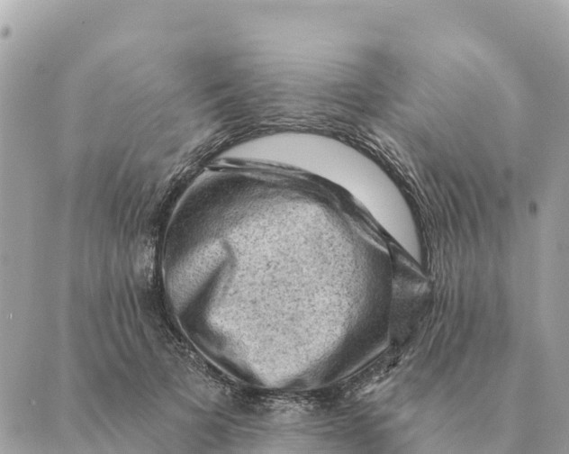 X0000088830697200706281756