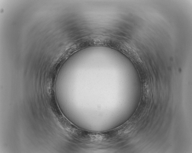 X0000088830698200706281756