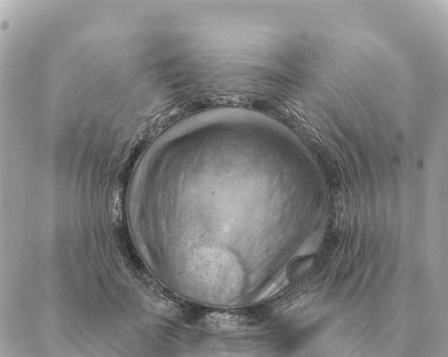 X0000088830699200706281756