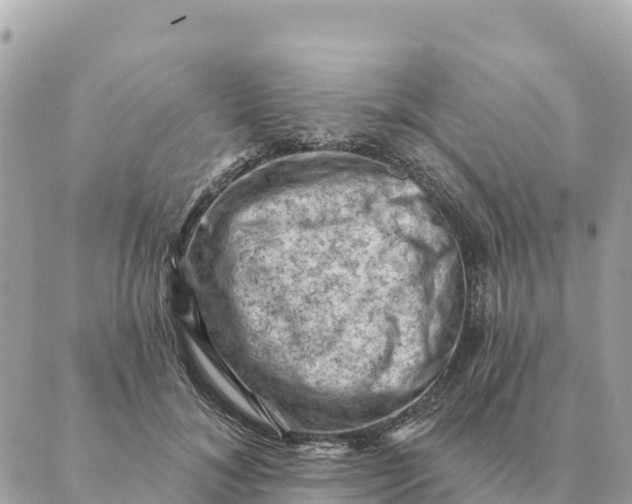 X0000088830700200706281756