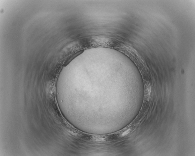 X0000088830701200706281756