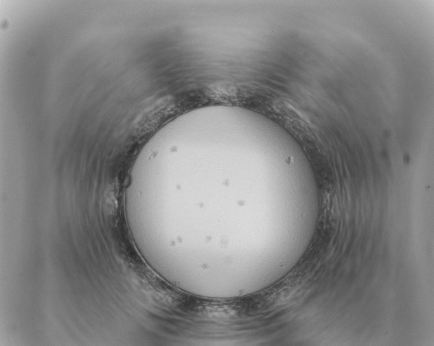 X0000088830702200706281756