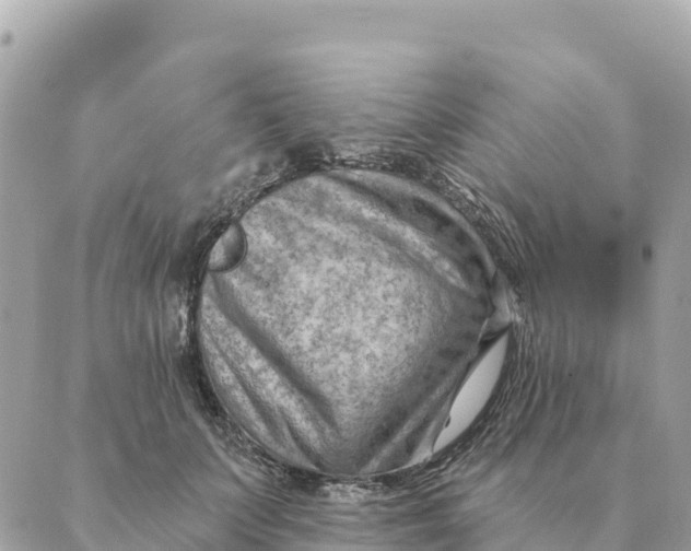 X0000088830703200706281756