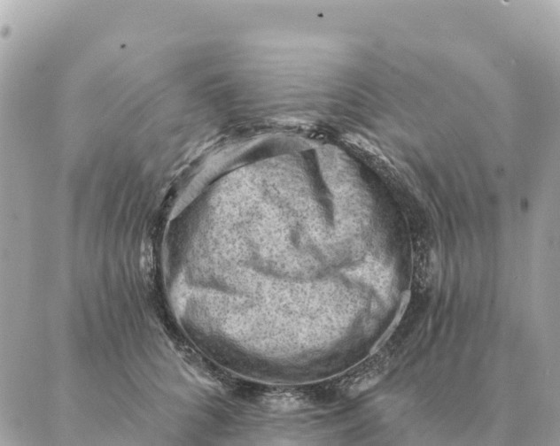 X0000088830704200706281756