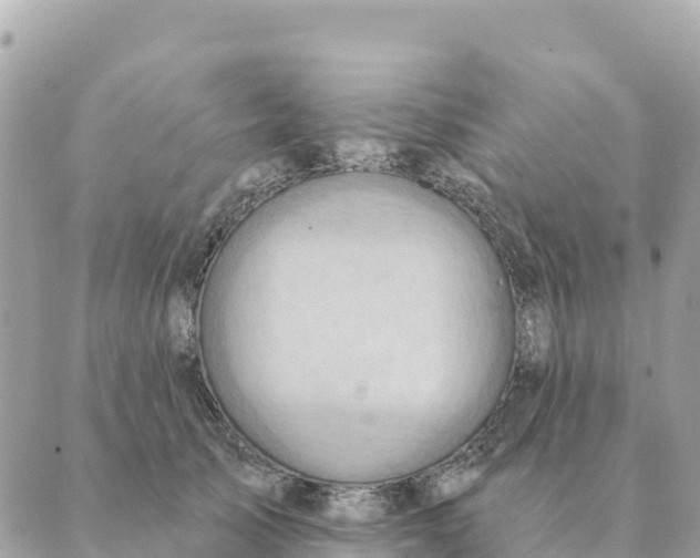 X0000088830705200706281756