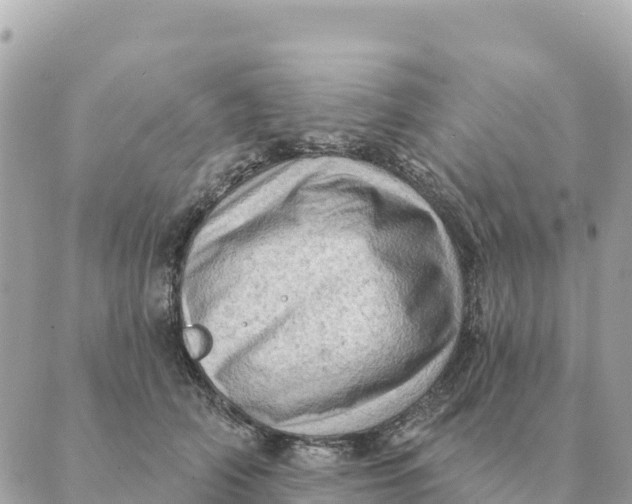 X0000088830706200706281756