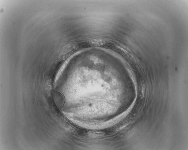 X0000088830707200706281756