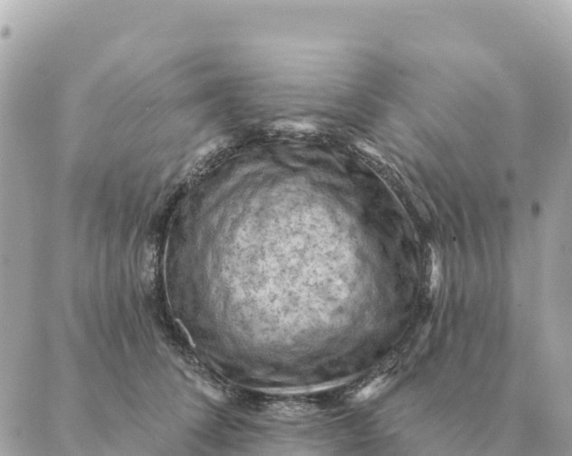 X0000088830708200706281756