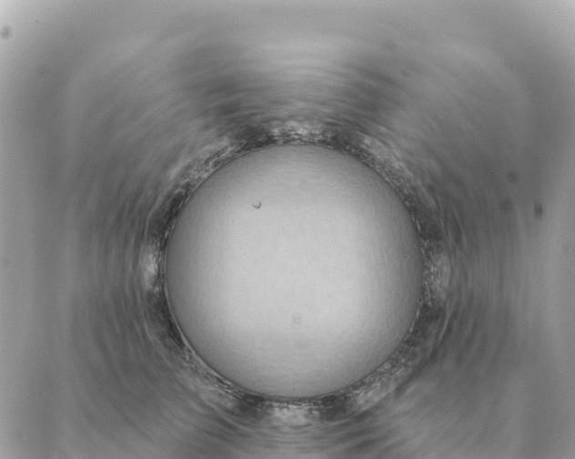 X0000088830709200706281756