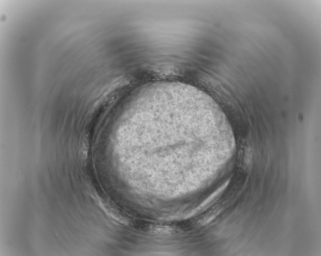 X0000088830710200706281756