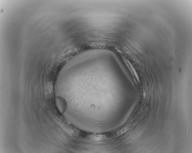 X0000088830711200706281756