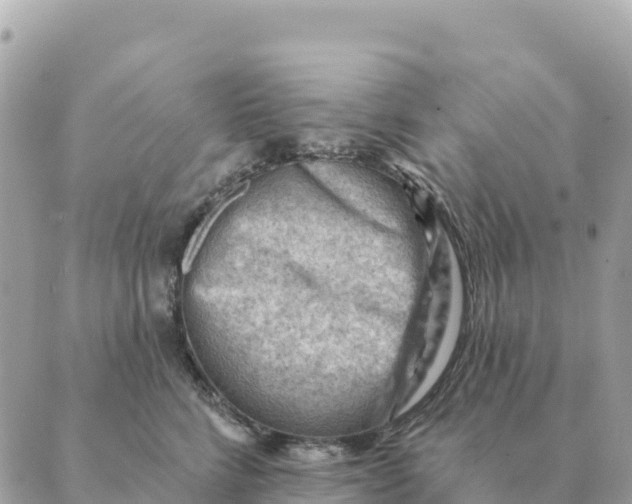 X0000088830712200706281756