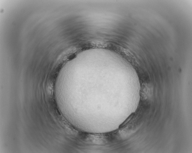 X0000088830713200706281756