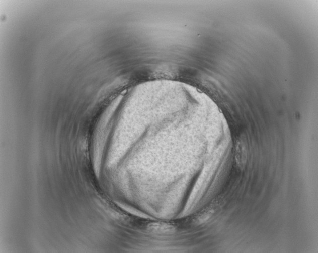 X0000088830714200706281756