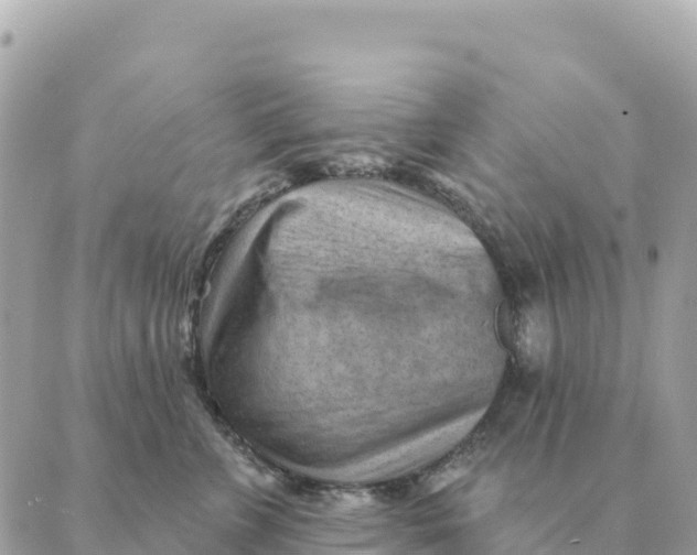 X0000088830715200706281756