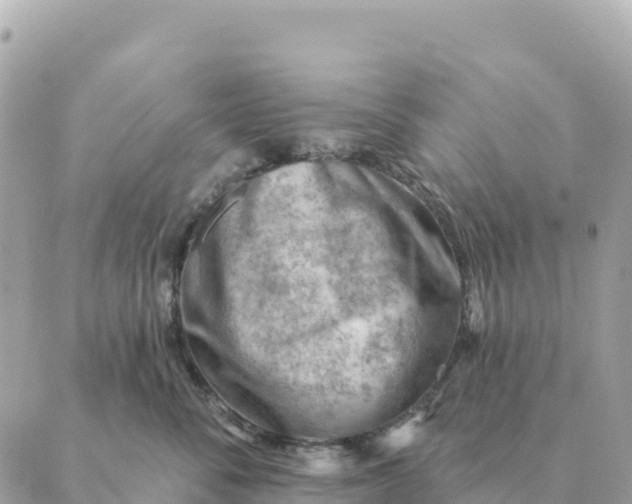 X0000088830716200706281756