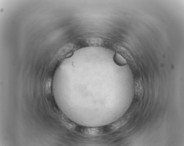 X0000088830717200706281756