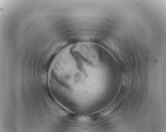 X0000088830718200706281756