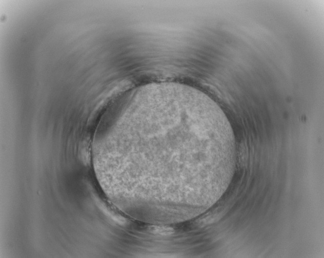 X0000088830719200706281756