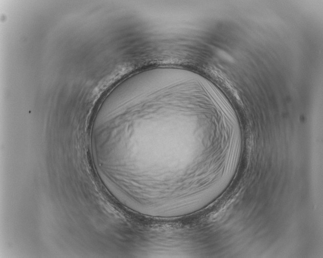 X0000088830721200706281755