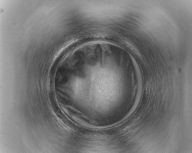 X0000088830722200706281755