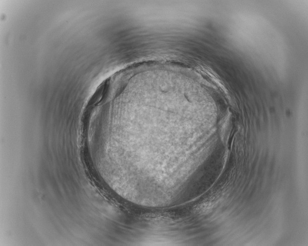 X0000088830724200706281755