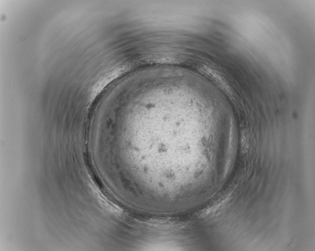 X0000088830725200706281755