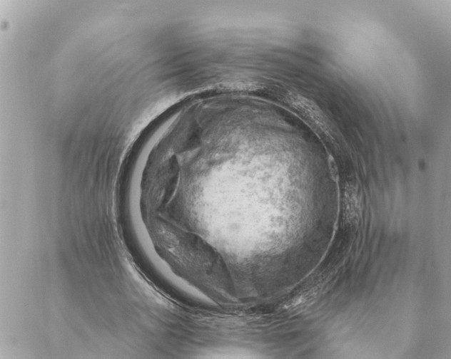 X0000088830726200706281755