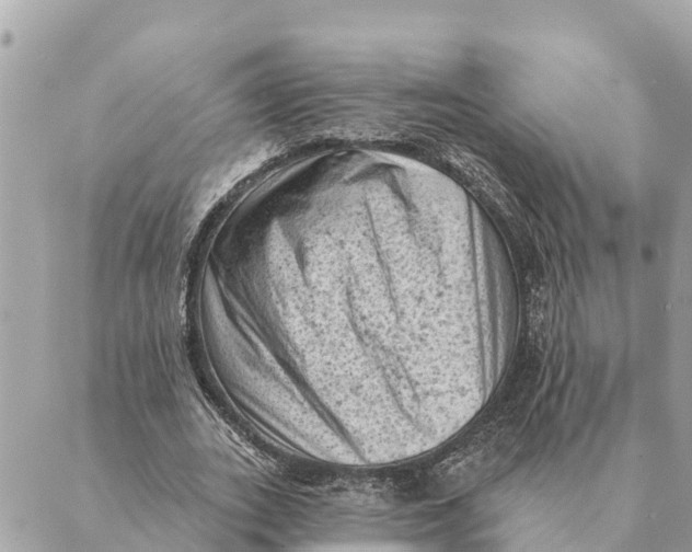 X0000088830727200706281755