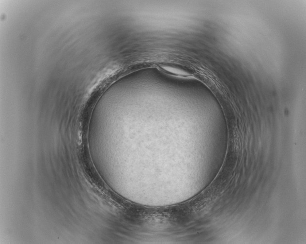 X0000088830731200706281755