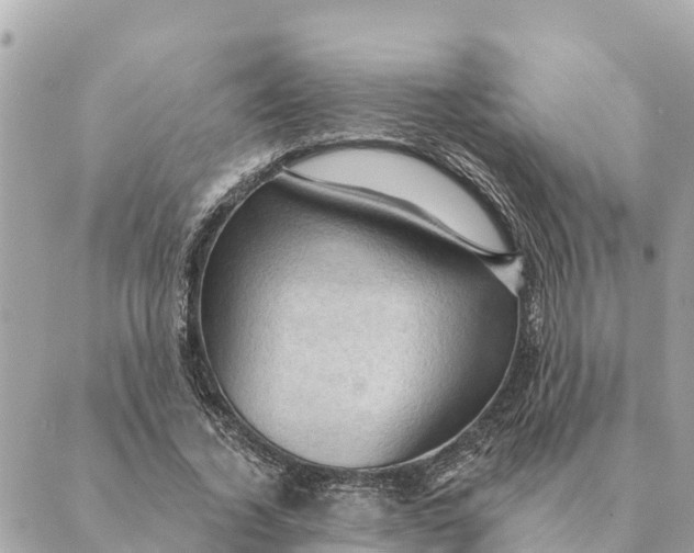 X0000088830732200706281755