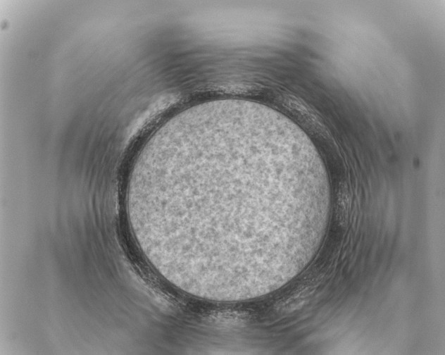 X0000088830734200706281755